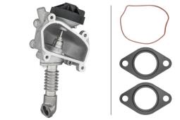 EGR Valve Hella 6NU 014 864-641