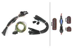 Cable Set Hella 8KB 163 160-811