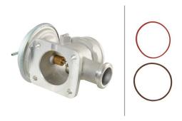 EGR Valve Hella 6NU 014 864-091