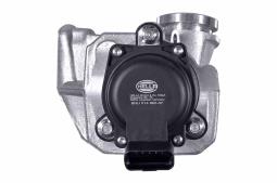EGR Valve Hella 6NU 014 862-071