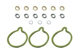 Seal Kit, injector pump Trucktec Automotive 02.13.133