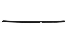 Trim/Protection Strip, door window Trucktec Automotive 02.54.019