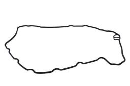 Gasket, cylinder head cover Trucktec Automotive 03.10.032