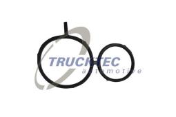 Gasket, timing case Trucktec Automotive 08.10.059