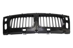 Radiator Grille Trucktec Automotive 08.62.234