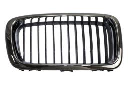 Radiator Grille Trucktec Automotive 08.62.262