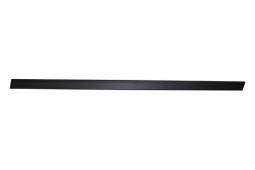 Trim/Protection Strip, door Trucktec Automotive 08.62.898