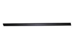Trim/Protection Strip, door Trucktec Automotive 08.62.901