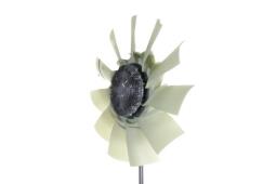 Fan, engine cooling Mahle CFF460000P