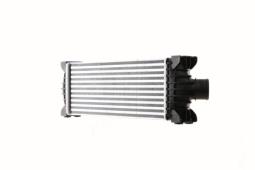 Charge Air Cooler MAHLE CI391000S