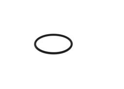 Rubber Ring BOSCH 2700210061