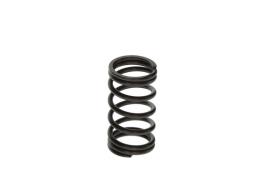 Spring BOSCH F 00N 200 141