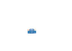 Fuse BOSCH 1987529082