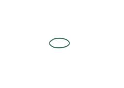 Rubber Ring BOSCH 2700210057