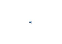 Fuse BOSCH 1987529047
