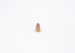 Screw BOSCH 2423410031