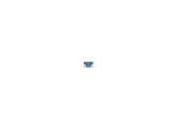 Fuse BOSCH 1987529047