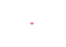 Fuse BOSCH 1987529043