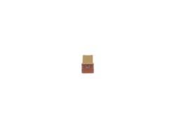 Fuse BOSCH 1987529061