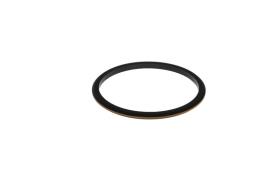 Seal Ring, injector BOSCH F 00N 202 513