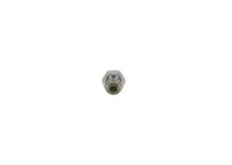 Screw BOSCH 2443462009