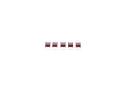 Fuse BOSCH 1987531031