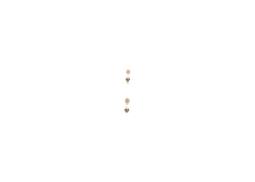 Bulb, boot light BOSCH 1987301014