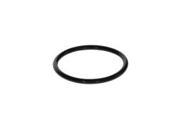 Rubber Ring BOSCH F 00N 200 018