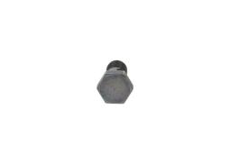 Screw BOSCH F 00N 202 301