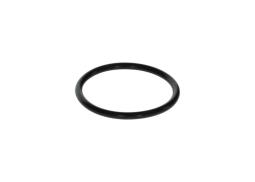 Rubber Ring BOSCH F 00N 200 018