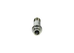 Screw BOSCH F 00N 202 240