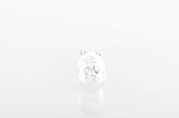 Bulb, clearance/end outline marker light BOSCH 1987302517