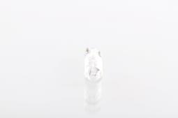 Bulb BOSCH 1987302504