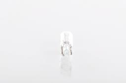 Bulb BOSCH 1987302504