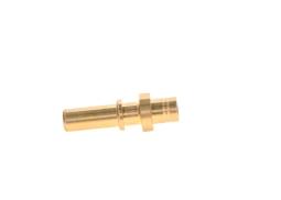 Fitting BOSCH F 01M 100 176