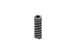Spring BOSCH 2434614030