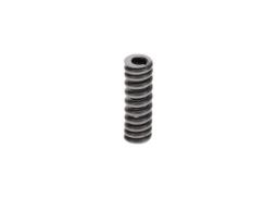 Spring BOSCH 2434614030