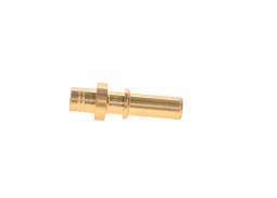Fitting BOSCH F 01M 100 176