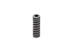 Spring BOSCH 2434614030
