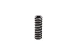 Spring BOSCH 2434614030