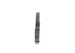 V-ribbed Belt BOSCH 1987946000