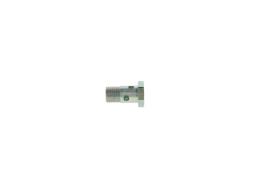 Screw BOSCH 2443456018