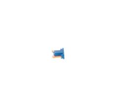 Fuse BOSCH 1987529082