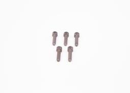 Screw BOSCH F 00N 202 192