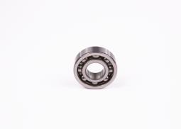 Bearing BOSCH 1900900305