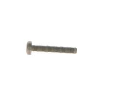 Screw BOSCH F 00N 202 194