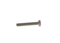 Screw BOSCH F 00N 202 194