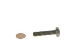 Screw BOSCH F 00N 202 193