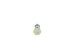 Screw BOSCH 2443456018
