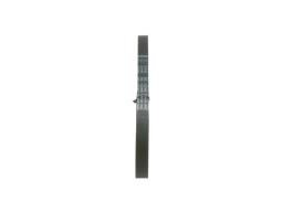 V-ribbed Belt BOSCH 1987946021